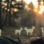 A Nürburgring mítosza: miért itt dől el minden sportautó becsülete, és mit jelent a köridő valójában?