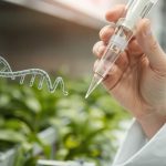 Mit tegyél, ha fiókát találsz? Teljes útmutató a madármentés felelősségteljes lépéseihez