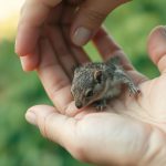 10 módszer a gyerekek pénzügyi tudatosságának fejlesztésére