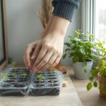 15 lenyűgöző tény a világ legnagyobb állatairól