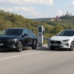 Urbanizáció és vadon találkozása: hogyan alkalmazkodnak a városi rókák, sünök és madarak